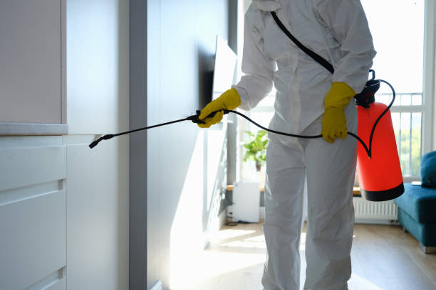 Best Crawl Space Mold Remediation  in Parrish, AL